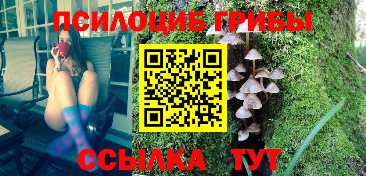 Псилоцибиновые грибы прущие грибы Канаш
